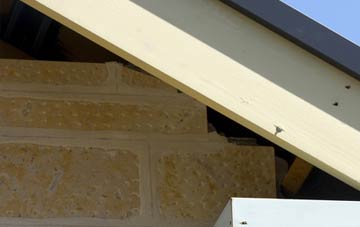 soffit repair Lothmore
