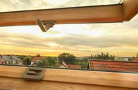 rated Lothmore roof window companies